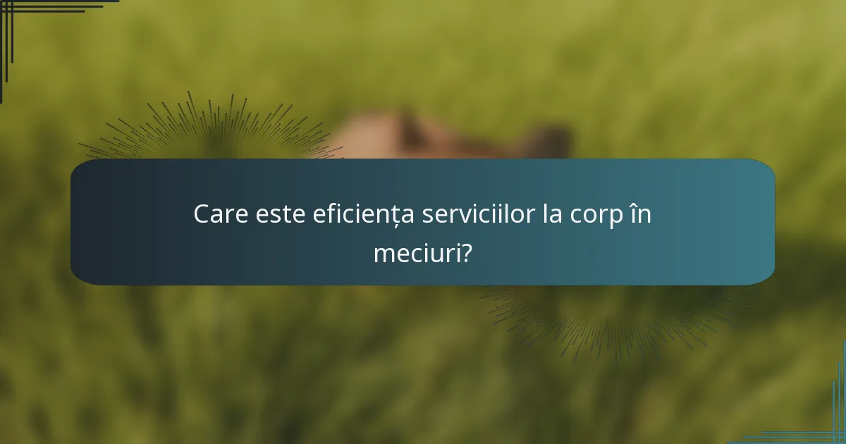 Care este eficiența serviciilor la corp în meciuri?