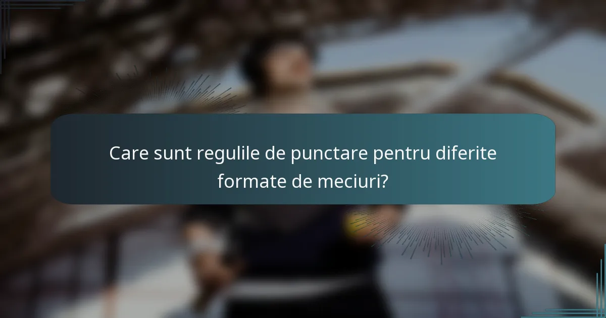 Care sunt regulile de punctare pentru diferite formate de meciuri?