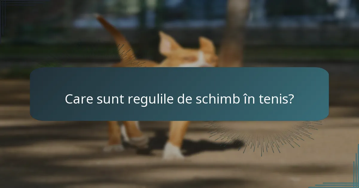 Care sunt regulile de schimb în tenis?
