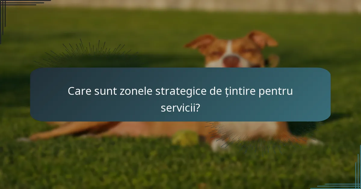 Care sunt zonele strategice de țintire pentru servicii?