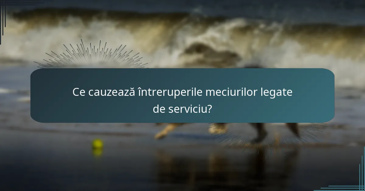 Ce cauzează întreruperile meciurilor legate de serviciu?