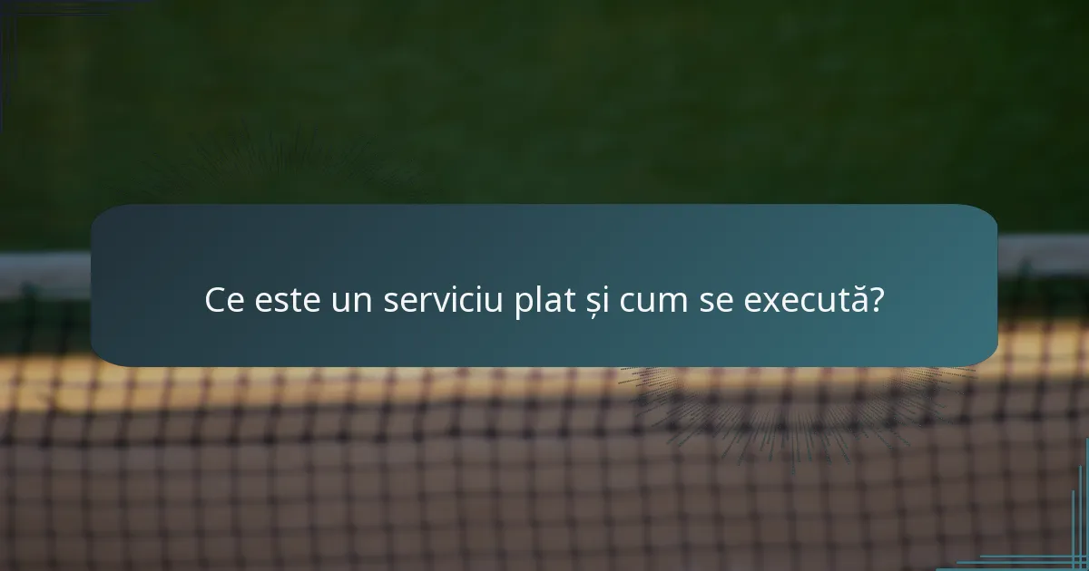 Ce este un serviciu plat și cum se execută?