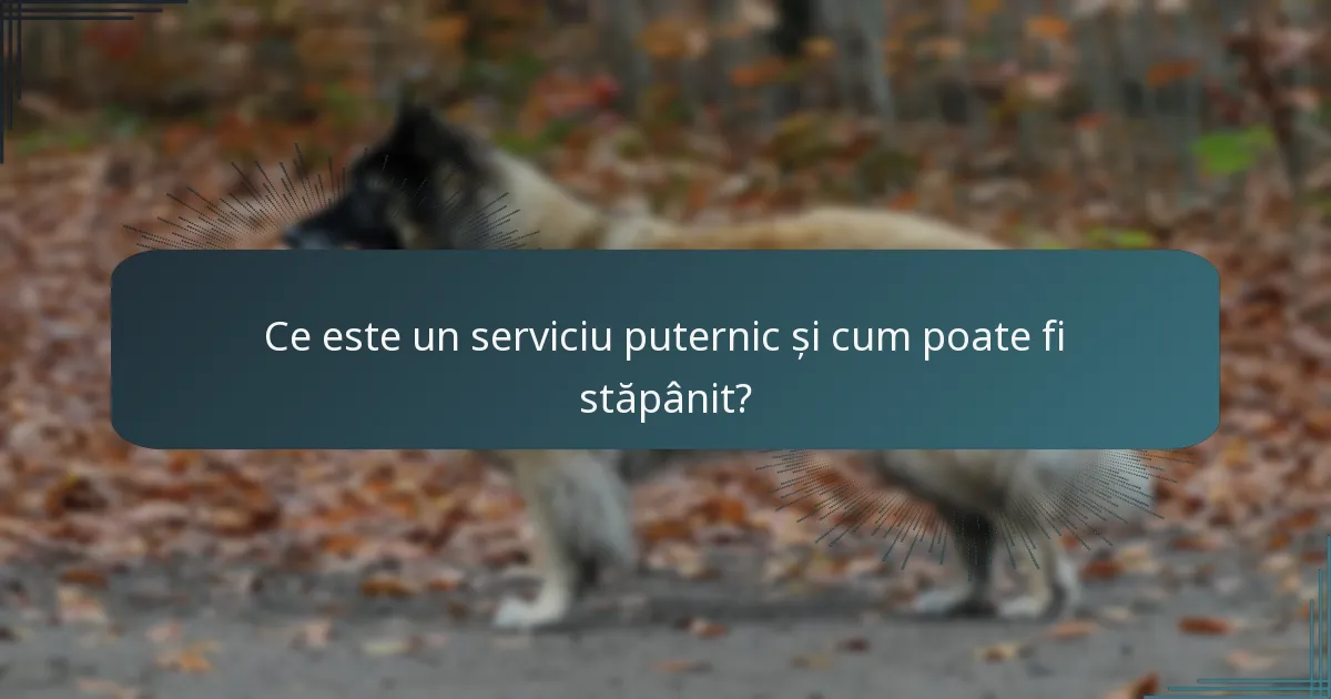 Ce este un serviciu puternic și cum poate fi stăpânit?