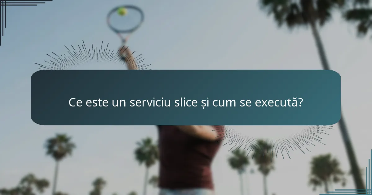 Ce este un serviciu slice și cum se execută?