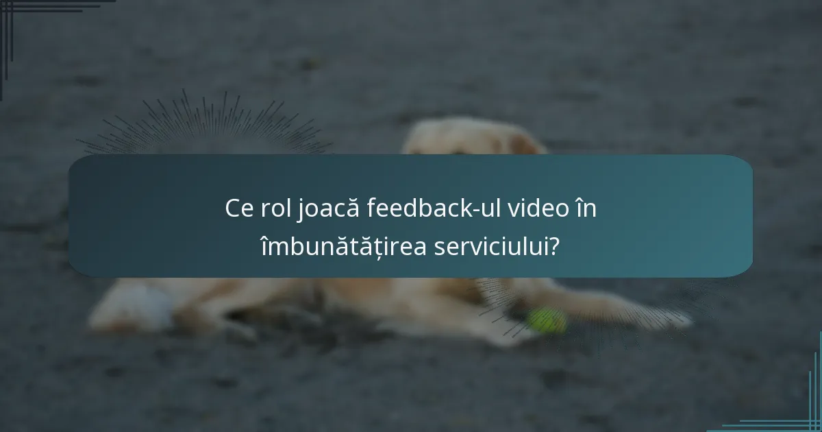 Ce rol joacă feedback-ul video în îmbunătățirea serviciului?