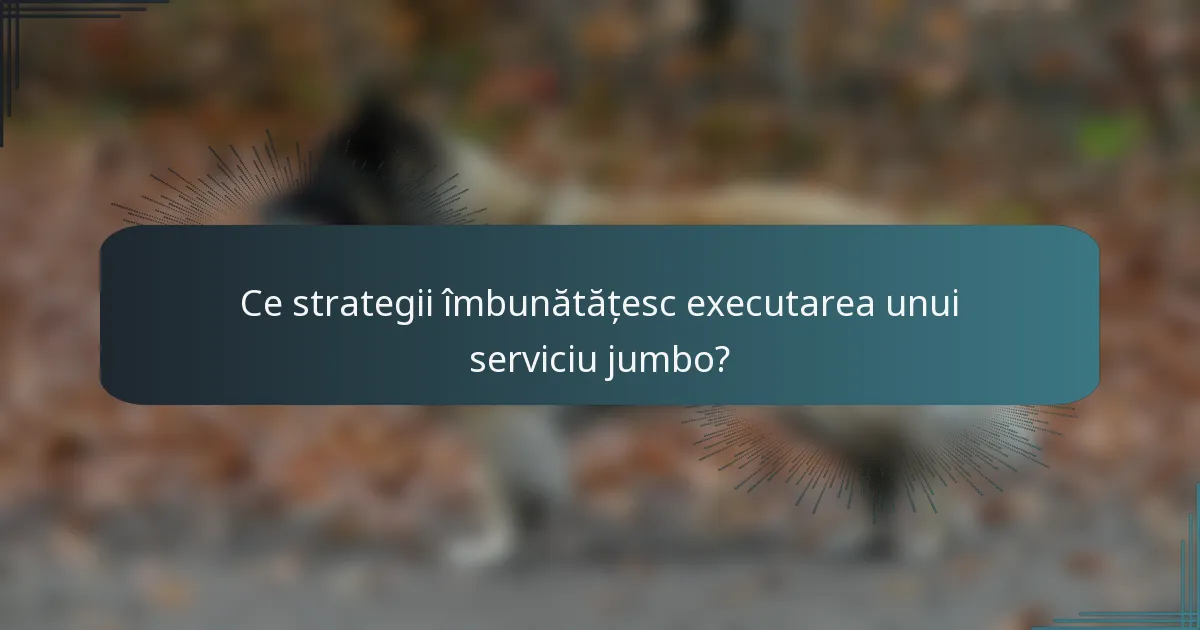 Ce strategii îmbunătățesc executarea unui serviciu jumbo?