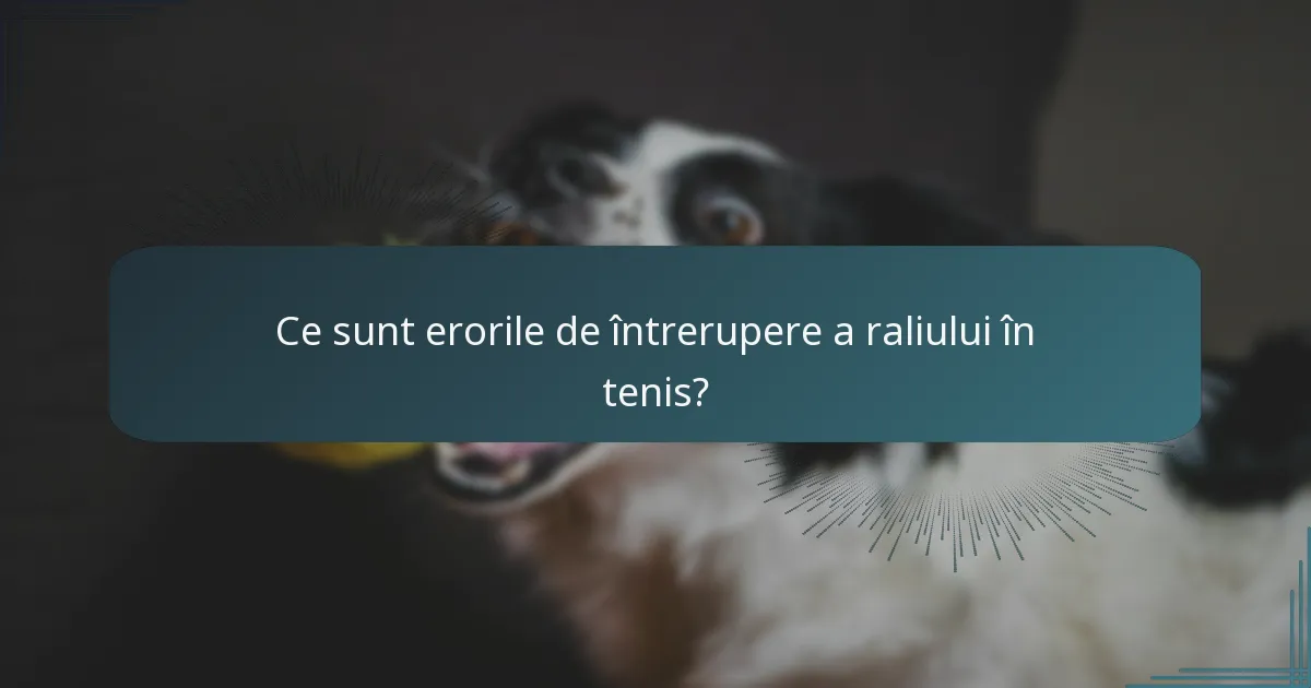 Ce sunt erorile de întrerupere a raliului în tenis?