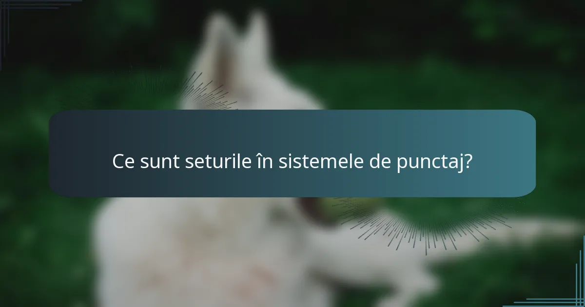 Ce sunt seturile în sistemele de punctaj?