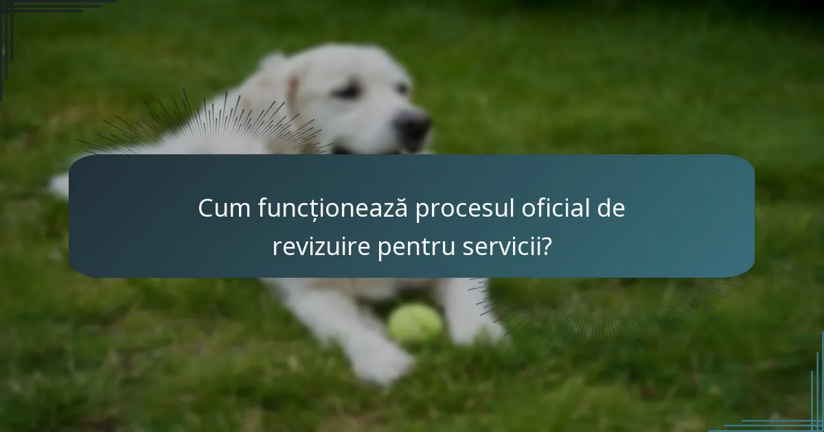 Cum funcționează procesul oficial de revizuire pentru servicii?