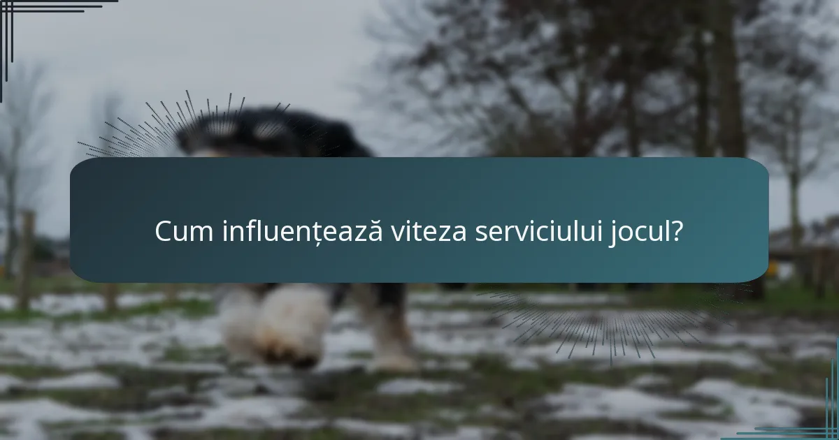 Cum influențează viteza serviciului jocul?
