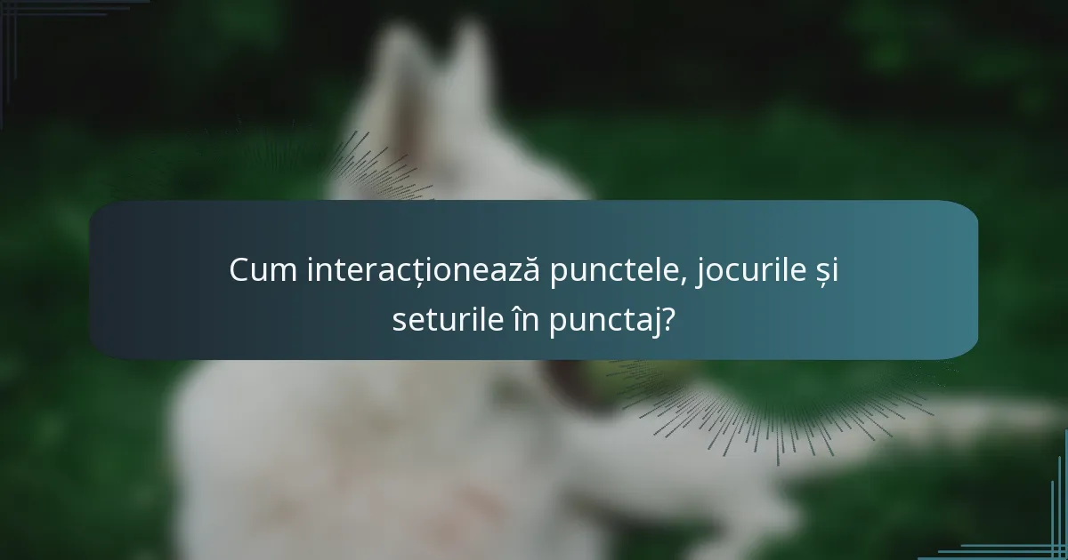 Cum interacționează punctele, jocurile și seturile în punctaj?