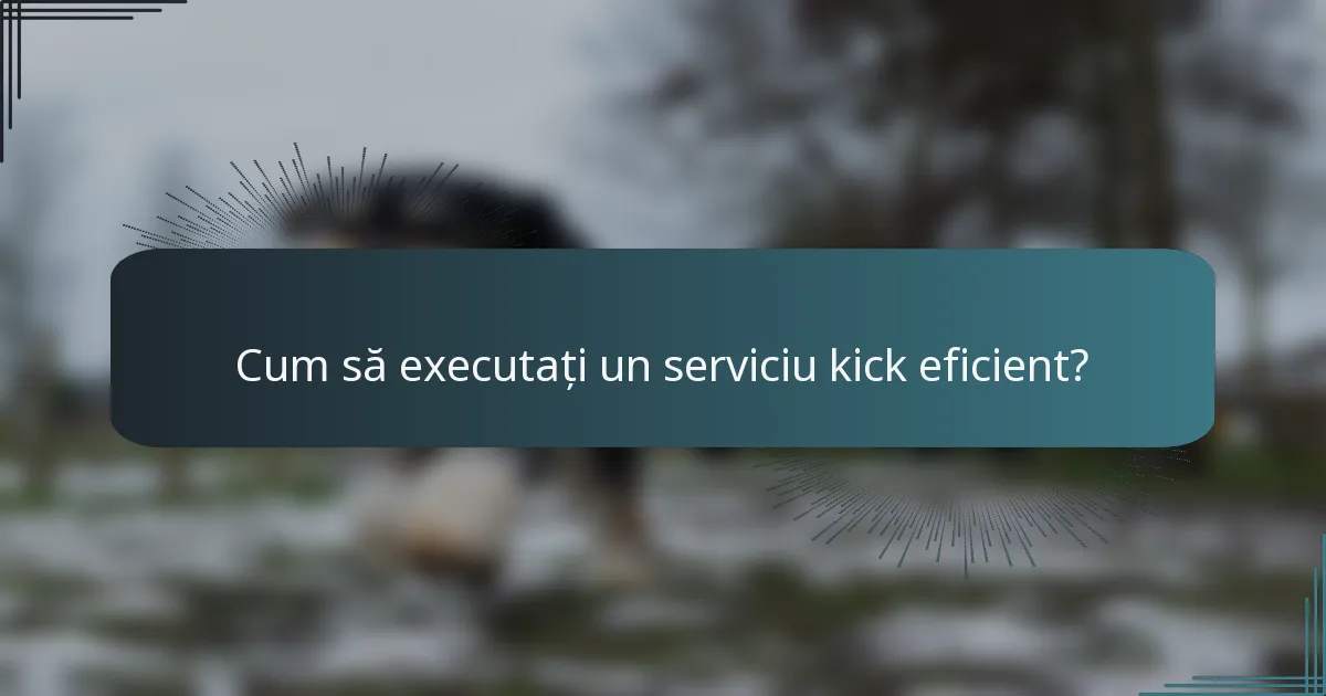Cum să executați un serviciu kick eficient?