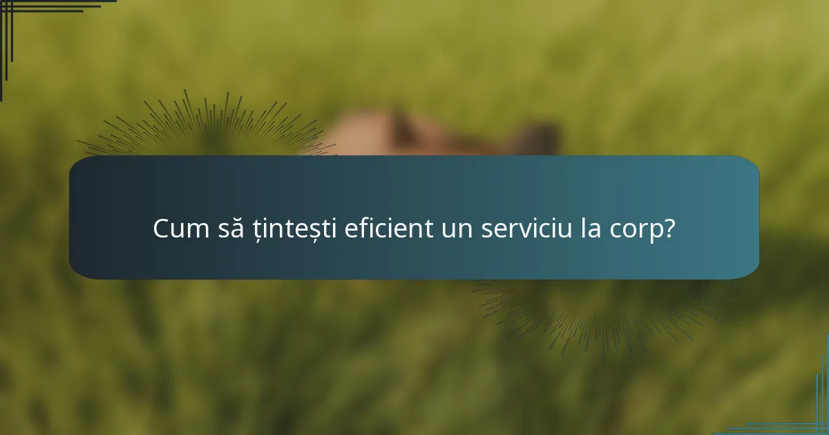 Cum să țintești eficient un serviciu la corp?